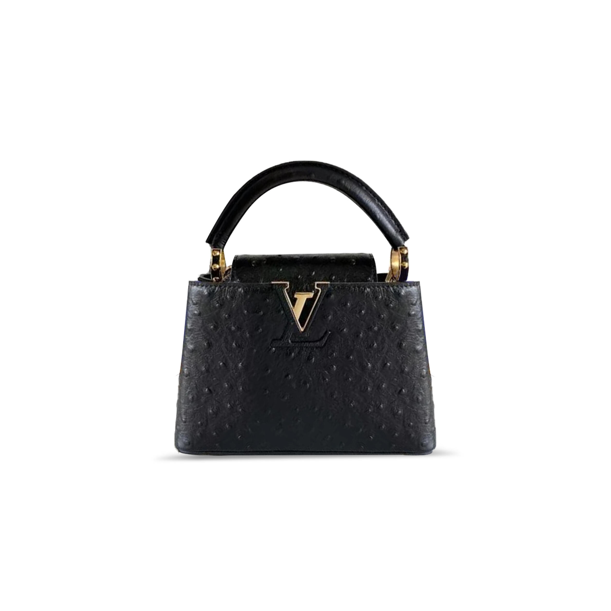 LOUIS VUITTON CAPUCINES MINI N85513 (21*14*8cm)
